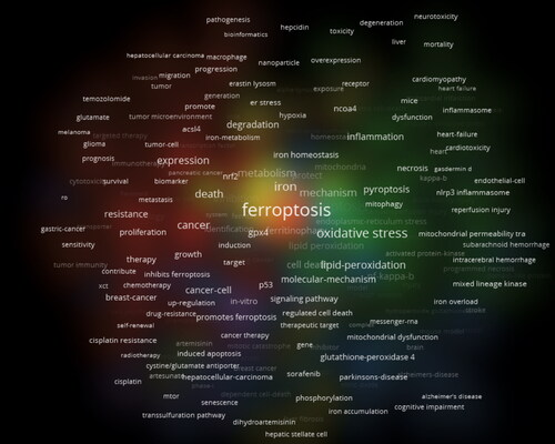 Figure 13. The occurrence of keywords associated with crosstalk between ferroptosis and autophagy.