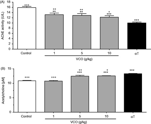 Figure 3. Effects of VCO on cholinergic activity in rat brain. The cholinergic activity in rat brain was assessed: (A) AChE and (B) ACh. Each bar represents mean ± SEM of n = 6. *p < 0.05, **p < 0.01, ***p < 0.001 when compared to control; +p < 0.05, ++p < 0.01, +++p < 0.001 when compared to αT.