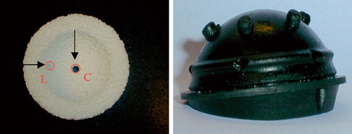 Figure 1. Ceramic acetabular model (L: lateral, C: central) and a 52–mm demonstration Opticup.