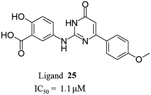 Figure 4. Structure of the most active CK2 inhibitor obtained as a result of chemical optimization.
