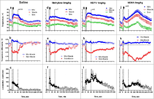 Figure 6. Mean changes in brain (NAc), temporal muscle, and skin temperatures and locomotor responses induced by sc injections of methylone (9 mg/kg), MDPV (1 mg/kg), MDMA (9 mg/kg), and saline during social interaction. Top graphs show mean (±SEM) values of absolute temperature changes; middle graphs show changes in NAc-Muscle and Skin-Muscle differentials; and bottom graphs show mean (±SEM) changes in locomotor activity. Filled symbols mark values significantly different from the pre-injection baseline. The first and third vertical hatched lines in each graph show onset and offset of social interaction (60 min) and black arrows at the second hatched lines mark the moment of drug administration. Original data shown in this graph were reported in. Citation73,74