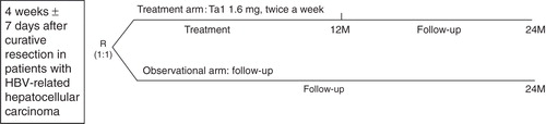 Figure 1. Illustration showing the study design. Subjects will be randomized into treatment arm (with 1.6 mg thymalfasin, twice a week, for 52 weeks) or observational arm at 4 weeks (± 7 days) after curative resection.