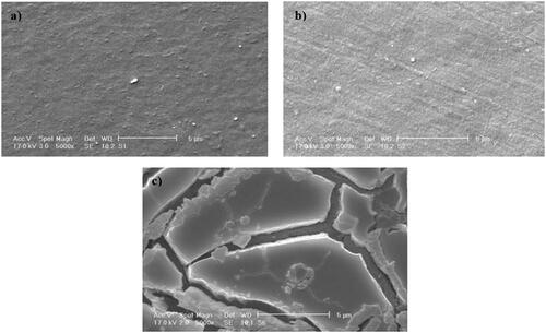 Figure 2. Effects of UV pretreatment on the surface morphologies of LDPE films. (a) Control (no UV pretreatment, no incubation with microorganisms). (b) After UV pretreatment for 25 days. (c) Formation of pits and cracks on UV-pretreated LDPE films after incubation with soil microorganisms for 126 days [Citation14].