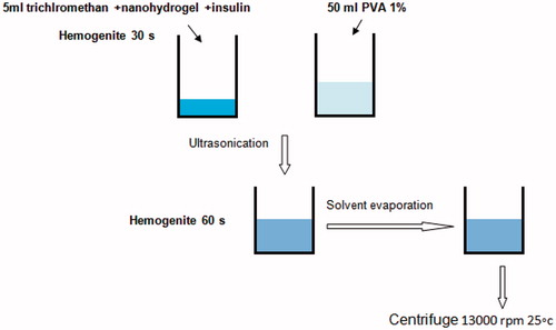 Figure 2. Whole scheme of insulin loading to nanohydrogel protocol.
