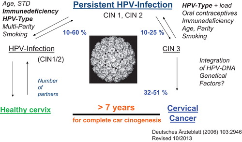 Figure 2. A model of the genesis of cervical cancer, illustrating the distinct steps from transient HPV infection to cervical cancer including co-factors.