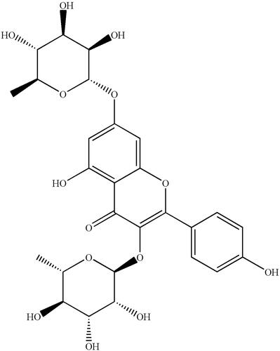 Figure 1. The chemical structure of kaempferitrin.