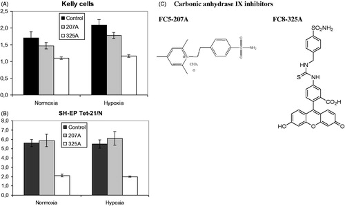 Figure 3. Proliferation of Kelly and SH-EP Tet-21/N neuroblastoma cells under treatment with carbonic anhydrase IX inhibitors FC5-207A and FC8-325A. (A) A significant reduction of proliferation can be observed for both inhibitors under normoxia (FC5-207A: p = 0.022; FC8-325A: p < 0.001) and even more strongly under hypoxic conditions (FC5-207A: p = 0.004; FC8-325A: p < 0.001) compared to the control in Kelly cells. (B) A significant reduction of proliferation could only be observed for substance FC8-325A (normoxia: p < 0.001; hypoxia: p < 0.001). Differences between the control and substance FC5-207A were not significant. (C) Chemical structures of carbonic anhydrase inhibitors FC5-207A and FC8-325A.