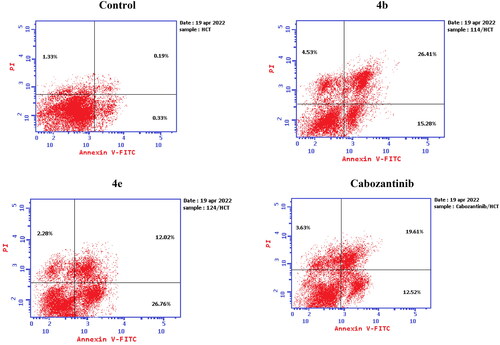 Figure 11. Representative cytograms of apoptotic HCT-116 cells induced by 4b and 4e compared to cabozantinib for 24 h.