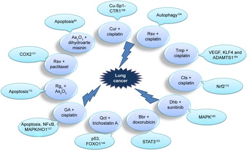 Figure 3 Anti–lung cancer mechanism of TCM-combination therapy.Abbreviations: Cur, curcumin; Rsv, resveratrol; Tmp, tetramethylpyrazine; Cts, cryptotanshinone; Qct, quercetin; Bbr, berberine; Dhb, dihydroberberine; GA, gambogic acid.