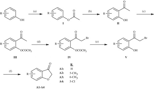 Scheme 1. The synthesis of the benzofuran-3-one derivatives (A1–A4). Reactants/reagents and reaction conditions. a: (CH3CO)2O, reflux, 30 min; b: AlCl3, 160–170 °C; c: (CH3CO)2O, 50–100 °C, 3–4 h; d: Br2, HBr, diethyl ether or acetic acid; e: 10% HCl, reflux; f: CH3COONa, EtOH, reflux.
