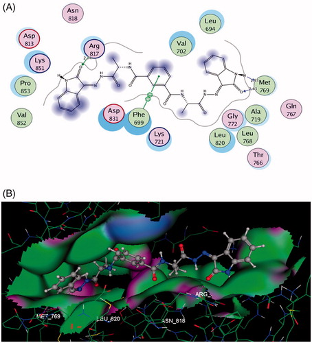 Figure 6. (A and B) Images display 2D and 3D graphs of compound 5 docked into EGFR binding sit (PDB code: 1M17). Green colour indicates hydrophobic area, pink colour indicates high polar area, blue colour indicates mild polar area and dotted lines and arrows represent hydrogen bonds.