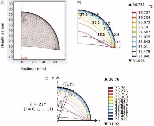 Figure 2. (a) Computational mesh, (b) computed temperature distribution in the cancerous breast and (c) coordinate system and surface data points used for the inverse reconstruction.