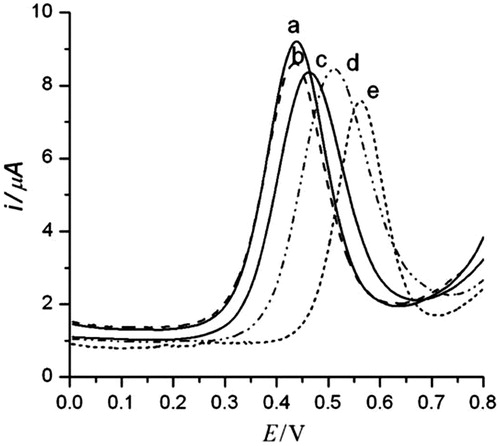 Figure 8. DPV of SWCNT/AuNP modified gold electrodes modified with Fc-pepstatin conjugate in the presence of different concentrations of HIV-1 PR at: (a) 0 pM, (b) 5 pM, (c) 10 pM, (d) 100 pM, and (e) 1000 pM. Ag/AgCl was used as the reference electrode at 100 mV/s. The assay buffer consisted of 0.1 M sodium acetate, 2 M NaClO4, 1 mM EDTA, 1 mM DTT, 10% DMSO, pH 7.4. The E of the Fc/Fc+ couple under the experimental conditions is 448 (5) mV (Reprinted with permission from Taylor & Francis) (Mahmoud and Luong Citation2010).