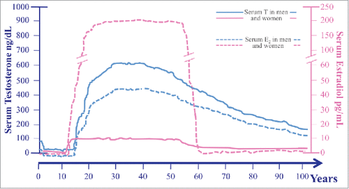 Figure 1. Serum levels of both testosterone (T) (solid lines) and estradiol (E2)* (broken lines) across the lifespan in men (blue lines) and women (pink lines). Data used for plotting age-related sex steroids changes in both sexes have been derived from Kaufman & Vermeulen 20055, Zmuda et al. 19976 (for men), and from Al-Safi et al. 20002 and Veldhuis 2013 (for women). serum E2 levels of premenopausal women are represented as the mean of E2 measured during the different phases of the menstrual cycle; T: testosterone; E2: estradiol.