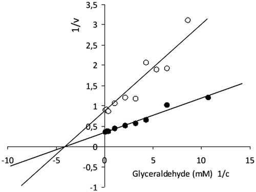 Figure 2. Inhibitory effect of compound 1 (2-chloro-1,4-naphthoquinone derivative of quercetin) on rat lens aldose reductase. Typical double reciprocal plot of the initial enzyme velocity versus the concentration of substrate (d,l-glyceraldehyde) in the presence or absence of inhibitor: (•) no inhibitor; (○) 2 μmol/l compound 1 (non-competitive type of inhibition).