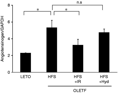 Figure 5. Angiotensinogen mRNA expression by RT-PCR in the kidney of OLETF HFS, HFS + IR, HFS + Hyd groups and LETO group at 26 weeks of age. n.s: not statistically significant. Values are mean ± SD. *p < 0.05 versus OLETF HFS group.