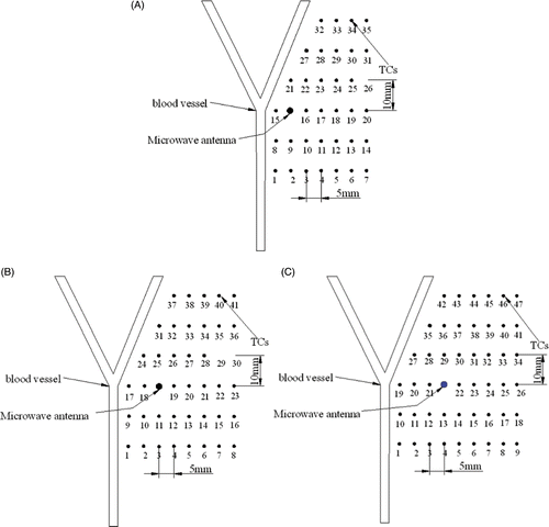 Figure 4. Positions of antenna and TCs. (A) D, 10 mm; (B) D, 15 mm; (C) D, 20 mm.