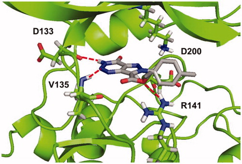 Figure 5. Binding mode for compound 5b (R=CH3) in GSK-3 showing three relevant H-bonds with nearby residues.