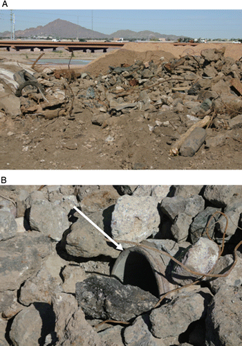 Figure 1  (A) Rubble pile simulating disaster scene. (B) Sample hiding location for victim, shown by arrow.