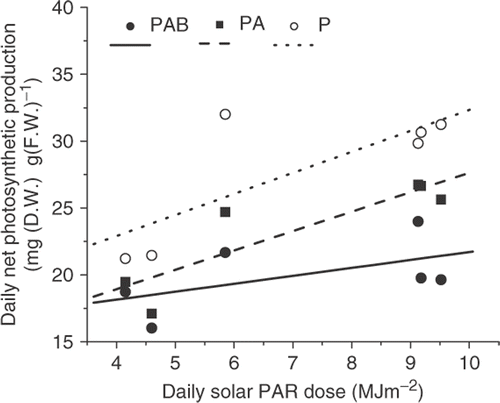 Fig. 6. Daily net photosynthetic production of Gracilaria lemaneiformis when exposed to PAR alone (P), PAR+UV-A (PA) and PAR+UVR (PAB) as a function of daily solar PAR dose in March, April (including September 29, 2006, simulated conditions for the cloudy day, April 24, 2004) and May, 2004. The daily net production was based on the integrated daytime photosynthesis shown in Fig. 2. R 2 values were 0.61, 0.77 and 0.31 for PAR alone (P), PAR+UV-A (PA) and PAR+UVR (PAB), respectively.