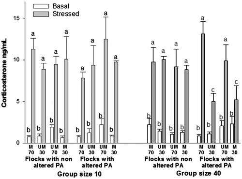 Figure 2. Plasma corticosterone concentrations after changing the phenotypic appearance (PA) of 70% of a flock during adulthood. Basal = birds reared in regular husbandry conditions; Stressed = same birds submitted to 5 min acute stress consisting of individual isolation in a novel environment. Bars represent the mean ± SE (number of birds per treatment = 9, total number of birds in the study = 144). Data were analyzed by mixed-model ANOVA. M = marked; UM = unmarked; 30 and 70 = 30% and 70% of the birds within the flock (i.e., group/pen) either marked or unmarked. Flocks with nonaltered PA: PA of all birds within the flock remained unchanged from day 1 of age. Flocks with altered PA = PA of birds was either changed during adulthood or remained unchanged from day 1 of age. Group size 10 = birds reared in groups of 10; Group size 40 = birds reared in groups of 40. a,cStressed groups with no common letters differ significantly (p < 0.05; Fisher least significant difference test).