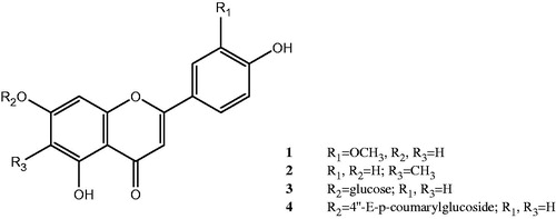 Figure 1. Structure of pure compounds; chrysoeriol 1, 6-methylapigenin 2, apigenin7-O-glucoside 3, echinaticin 4.