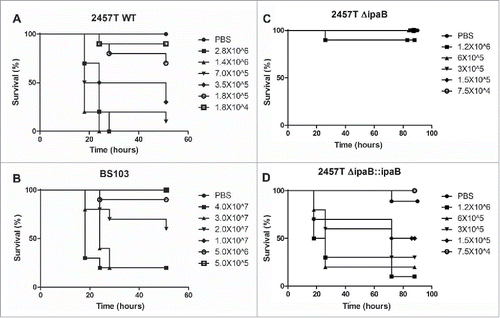 Figure 2. Dose, time and IpaB dependence of G. mellonella larvae death after infection with Shigella spp. G. mellonella larvae were injected with different concentrations of panel A, 2457T, panel B, BS103, panel C, 2457TΔipaB and panel D, 2457T ΔipaB : : ipaB. Larval death was monitored over time and scored by lack of movement after a touch. Significance was determined by the Log Rank test.
