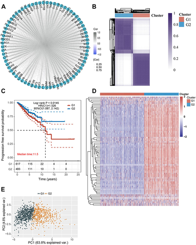 Figure 4 Metastasis-related immune gene subtype characteristics of two distinct subtypes of samples divided by consistent clustering. (A) Correlation between the 76 genes. (B) Consensus matrix heatmap defining two clusters (k = 2) and their correlation areas. (C) Survival analyses for two distinct subtypes in The Cancer Genome Atlas-Breast Cancer cohort using Kaplan Meier curves. (Log rank test, p = 0.0145). (D) Hierarchical clustering of metastasis-related immune genes in The Cancer Genome Atlas-Breast Cancer cohorts. Hierarchical clustering was performed with Euclidean distance and Ward linkage. The cluster was shown as annotations. Rows represented metastasis-related immune genes, and columns represented breast cancer samples. Red represented high expression and blue represented low expression of each gene. (E) Principal component analysis showing a remarkable difference in transcriptomes between the two subtypes.