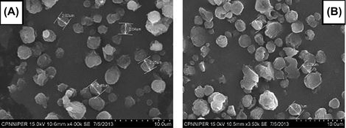 Figure 1. SEM images of Isoniazid (A) and Rifampicin (B) loaded HPMC porous nano-aggregates.