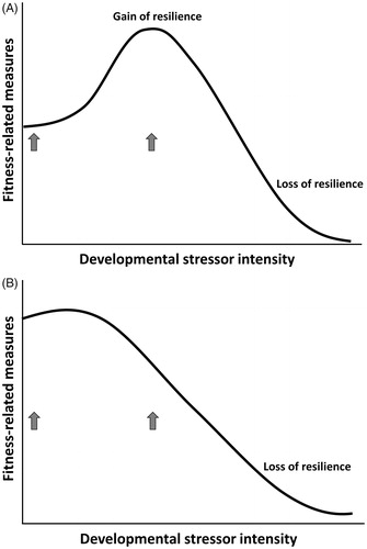 Figure 5. Predicted relationship between developmental stressor intensity and fitness-related measures when the adult environment is stressful (A) and when the adult environment is benign (B). Arrows represent treatment groups in an experiment, control and developmentally stressed groups, in relation to fitness-related measures.