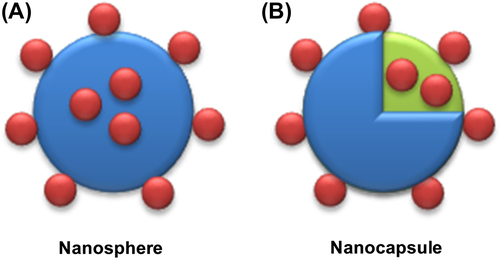 Figure 1. Different types of nanoparticles (A) Nanospheres where drug is either entrapped in the polymer matrix or adsorbed onto surface or both. (B) Nanocapsules where drug is either entrapped inside the hollow capsule or adsorbed onto surface or both.
