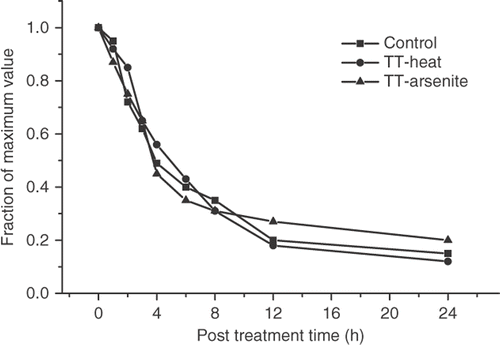 Figure 5. Resolution of γ-H2AX foci in control and thermotolerant HA-1 cells. Control (▪) heat-induced thermotolerant (•) and arsenite-induced thermotolerant (▴) HA-1 cells were heated at 43°C for 60 min at various times after the original thermotolerance inducing treatment and the fraction of γ-H2AX foci positive cells was determined.