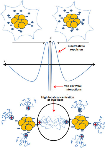 Figure 5 Unification of electrostatic and steric stabilization. Gold nanoparticles surround the ionic surfactants having polar ends and extended side chains. The area with high local concentration of stabilizer hinders the agglomeration of AuNPs.
