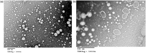 Figure 1. TEM micrograph of (a) formula N4 taken at magnification of 30 000×; (b) formula N9 taken at magnification of 50 000×.