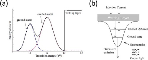 Figure 2. (a) The QD-SOA density of state as a function of transition energy. (b) A schematic of carrier dynamics in an InAs/GaAs QD-SOA. Quantum dots are embedded in the wetting layer.
