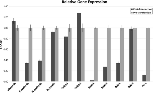 Figure 4. Gene expression of EMT–MET markers after knockdown of L1 ORF2. The figure presents the qPCR data before and after the knockdown of L1 ORF2. Samples were normalized to control sample using Livak analysis and 18SrRNA was used as housekeeping gene. The positive values represent increased gene expression, while a negative value decreased gene expression.
