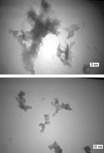 Figure 2. TEM micrographs of the NPs produced 72 h after the start of AgNO3 (1 mM) reduction using dried commercially available S. cerevisiae- Magnification is 25,000.