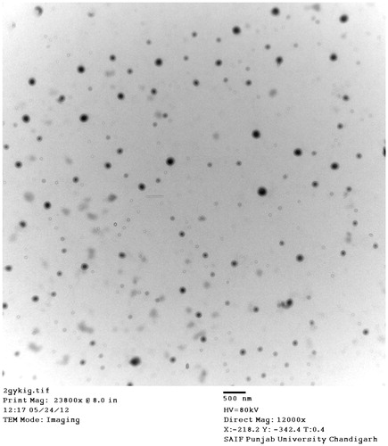 Figure 1. TEM image of niosome.