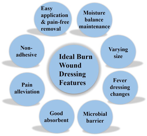 Figure 1. Characteristics of an ideal burn wound dressing.