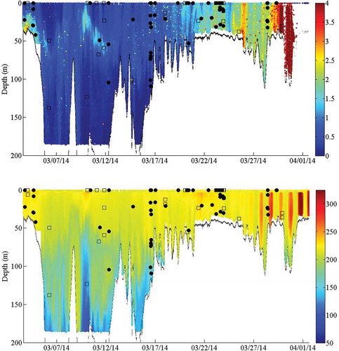 FIGURE 10. Glider-derived chlorophyll-a concentration (µg/L; log scale; upper panel) and dissolved oxygen concentration (mg/L; lower panel) off the southeastern U.S. coast over time. The plots are overlaid with observations of marine mammal whistles (black shaded circles) and echolocation sounds (open squares) displayed at the glider’s depth at the time the sounds were recorded.