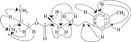 Figure 2.  HMBC interactions for compound 1.