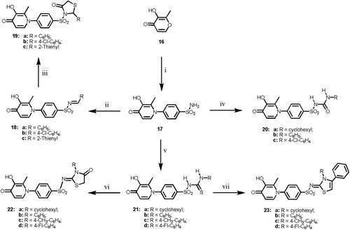 Scheme 3.  Reagents and reaction conditions: (i) sulfanilamide, ethanol, ref lux, 4 h; (ii) RCHO, ethanol, ref lux, 3 h; (iii) HSCH2COOH, dry dioxan, ref lux, 12 h; (iv) RNCO, anhyd. K2CO3, dry acetone, ref lux 18 h; (v) RNCS, anhyd. K2CO3, dry acetone, ref lux 10 h; (vi) ethyl bromoacetate, anhyd. NaOAc, abs. ethanol, ref lux, 2 h; (vii) phenacyl bromide, anhyd. NaOAc, abs. ethanol, ref lux, 2 h.