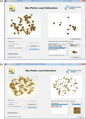 Figure 14. (a and b). Two screenshots of the prototype software detecting a local pollen type in the pollen load images.