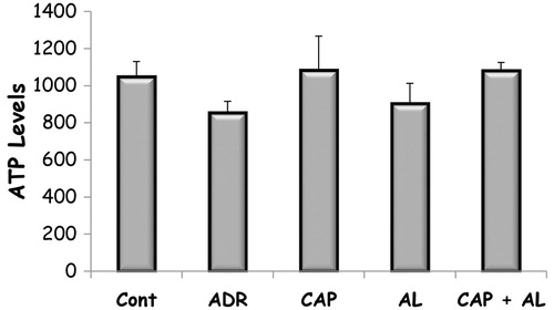 Figure 3. The effect of renin–angiotensin II inhibitors on ATP level in rats with nephrotoxicity induced by ADR. Cont: Control group, ADR: Adriamycin group, CAP: Captopril group, AL: Aliskren group, CAP + AL: Captopril plus Aliskren group. All data were expressed as mean ± SEM.