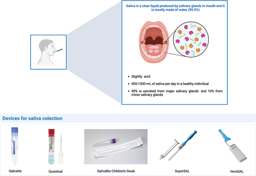 Figure 2. Main characteristics of saliva as biofluid and types of devices for saliva collection. The image was created with the BioRender.