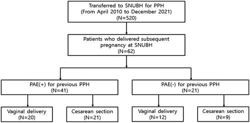 Figure 1. Flow chart of study. SNUBH: Seoul National University Bundang Hospital; PPH: postpartum hemorrhage; PAE: pelvic artery embolization.