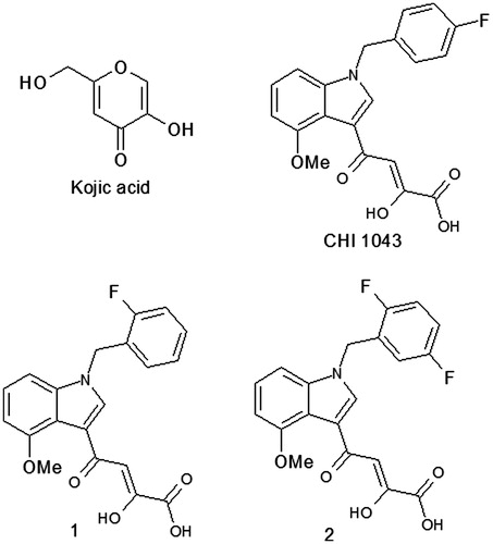 Figure 2. Chemical structure of Kojic acid, CHI 1043 and its analogs.