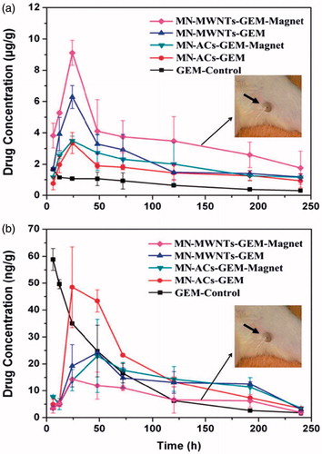 Figure 5. The curves of GEM concentrations at different times after administration of GEM, MMWNTs-GEM-Magnet MMWCNT-GEM, MACs-GEM-Magnet and MACs-GEM: (a) in the left popliteal lymph nodes and (b) in blood plasma [Citation12].
