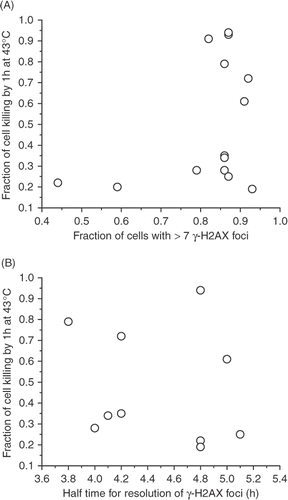 Figure 12. Lack of correlation between heat-induced cell killing after heating for 60 min at 43°C and the fraction of cells with >7 γ-H2AX foci immediately after heating (A) or the half-time for the resolution of the γ-H2AX foci, as indicated by the decrease in the fraction of cells with >7 γ-H2AX foci to 50% of the original value.