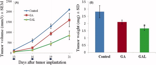 Figure 5. In vivo efficacy of GA and GAL. (A) Tumor growth kinetics with dosing every other day for five times. (B) Relative tumor weight of mice after the treatment. Data are expressed as mean ± SEM (n = 6). *p < 0.05 compared with control.